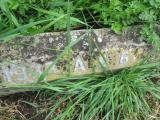 image of grave number 572936